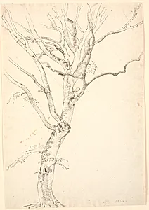Afbladet bøgetræ by P.C. Skovgaard