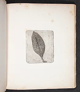 Aftryk af blad by Peter Larsen Kyhl