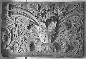 Akanthus ornament by Ubekendt