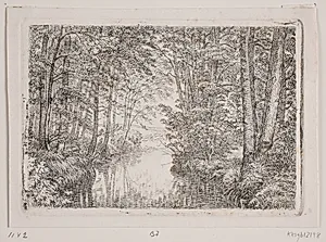 Åløb i en skov by C.A. Kølle