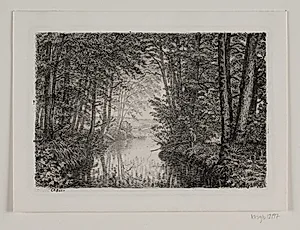 Åløb i en skov