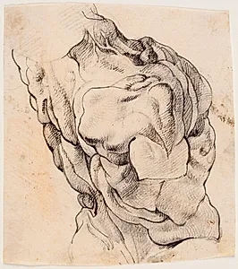 Anatomisk studie (écorché). En flået mands torso, set bagfra, halvt højredrejet by Willem Panneels