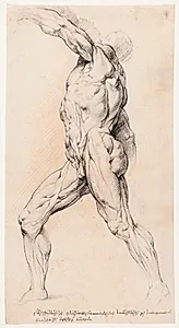 Anatomisk studie (écorché).En gående, flået mand med løftet venstre arm, venstre drejet by Willem Panneels