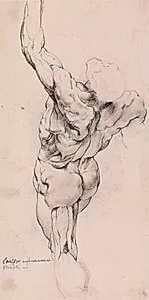 Anatomisk studie (écorché). En gående, flået mand set bagfra, halvt venstredrejet by Willem Panneels
