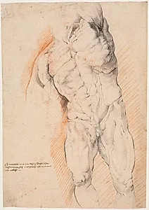 Anatomisk studie (ècorché). En stående, flået mand med løftet venstre arm set forfra by Willem Panneels