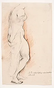 Antik statue af Venus, set fra højre by Willem Panneels