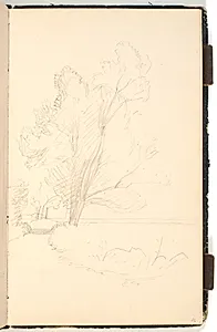 Åparti med høje træer by P.C. Skovgaard