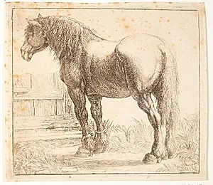 Arbejdshest ved et hegn by Simon de Vlieger