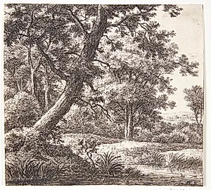 Bæk med et hældende træ by Anthonie Waterloo