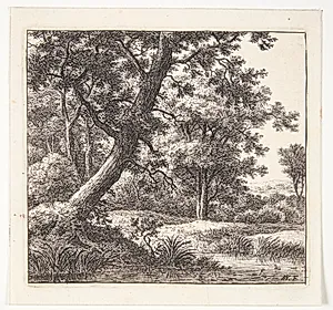 Bæk med et hældende træ by Anthonie Waterloo