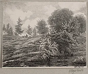 Bakker ved en mose by Vilhelm Kyhn