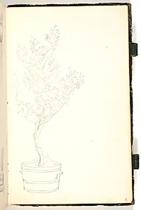 Balje, hvori der vokser et træ by P.C. Skovgaard