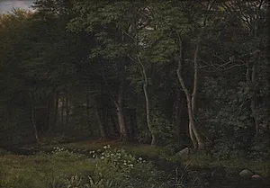 Begyndende aftenskumring i en skov. Motiv fra Iselingen