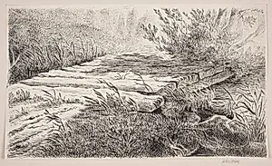 Bjælkebro over et vand by J.P. Møller