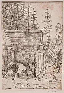 Bjørnen som rytter by Ubekendt
