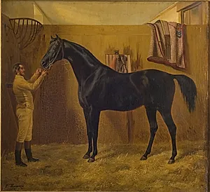 Black Comet