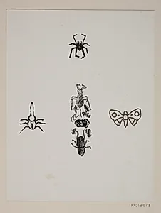 Blad med sommerfugl, tæge, skarnbasse og andre insekter by Joakim Skovgaard