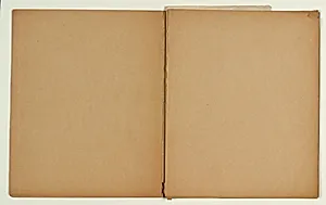 Blank by Niels Larsen Stevns