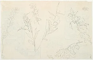 Blomster og bladstudier by Lorenz Frølich