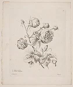Blomster by Oluf Olufsen Bagge