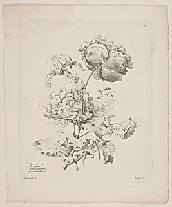 Blomster by Oluf Olufsen Bagge
