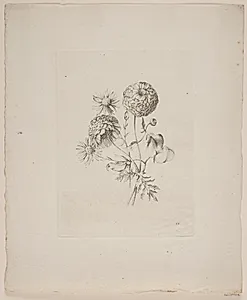 Blomstermotiv
