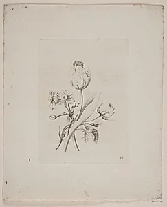 Blomstermotiv