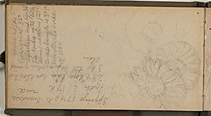 Blomsterskitser samt notater, blandt andet målangivelser til alteret i Egebjerg kirke by Niels Larsen Stevns