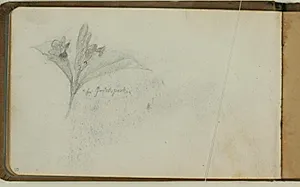 Blomsterstudie by Niels Larsen Stevns