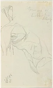 Blyantsstudie og påskrifter by Lorenz Frølich