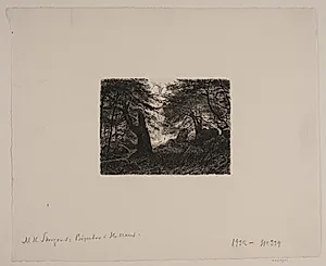 Bøge og sten by Niels Skovgaard