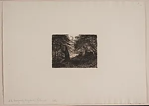 Bøge og sten by Niels Skovgaard