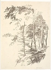 Bøgetræer på en skrænt by P.C. Skovgaard
