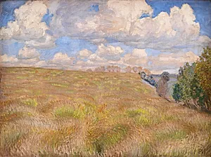 Bølgende rug