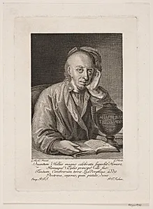 Bolle Luxdorf by Georg Haas