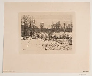Bøllemosen