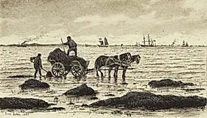 Bønder kører tang by Carl Locher