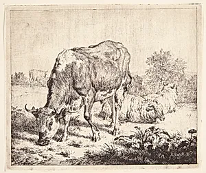 Broget tyr og tre får by Adriaen van de Velde