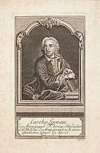 Carl Linné