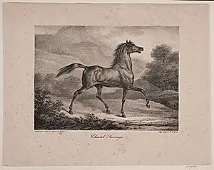 "Cheval Sauvage" by WIlhelm Heuer