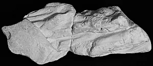 Chiton-dragtfolder i to dele by Ubekendt