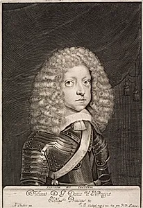 Christian V by Albert Haelwegh