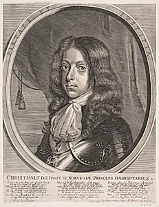 Portrait of Albert Haelwegh