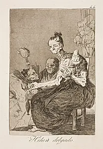 De spinder smukt by Francisco de Goya