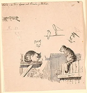 De to katte. F.o. studier af kattehoveder, en fugl, et katteøre og bjælke-værk. Illustration til Kaalunds "Fabler for Børn". Se kommentar fra arkkatalog. by Johan Thomas Lundbye