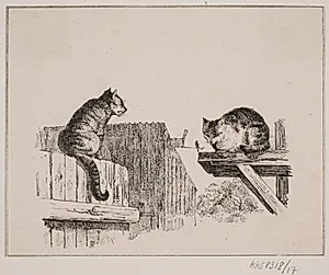 De to katte by Adolph Kittendorff