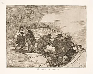 De ved ikke hvorhen (70) by Francisco de Goya