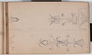 Dekorative elementer fra S. Anastasia, Verona by Niels Larsen Stevns