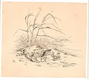 Den dræbte vildand. Illustration til Kaalunds "Fabler for Børn". Se kommentar fra arkkatalog. by Johan Thomas Lundbye