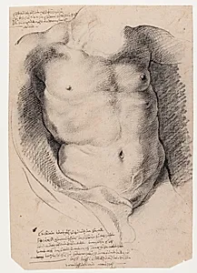 Den drukne Herkules. Herkules' torso